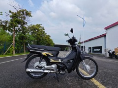 High-Quality Two-Wheeled Lightweight Four-Stroke 110cc Gasoline Motorcycle for Adults