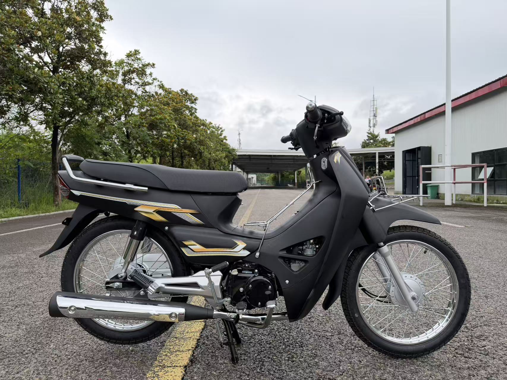 High-Quality Two-Wheeled Lightweight Four-Stroke 110cc Gasoline Motorcycle for Adults