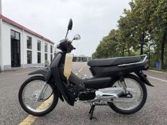 High-Quality Two-Wheeled Lightweight Four-Stroke 110cc Gasoline Motorcycle for Adults