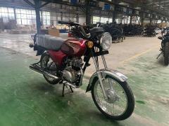 2026 Newest 100cc Two-Wheeled Gasoline Light Recreational Motorcycle