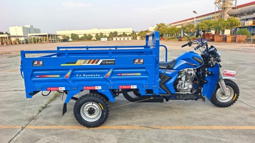 2026 New Gasoline-Powered Cargo Tricycle, 200cc Adult Size, Wholesale Lowest Price Tricycle