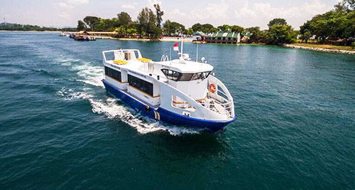 Singapore Island Cruise Ferry  Addressable Fire Alarm System Project