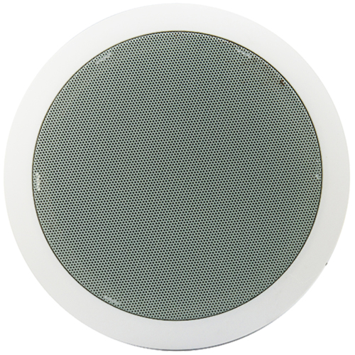 AW-SP02 Big Ceiling Speaker