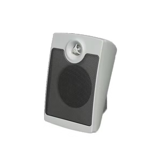 AW-SP06 Wall-mounted Speaker