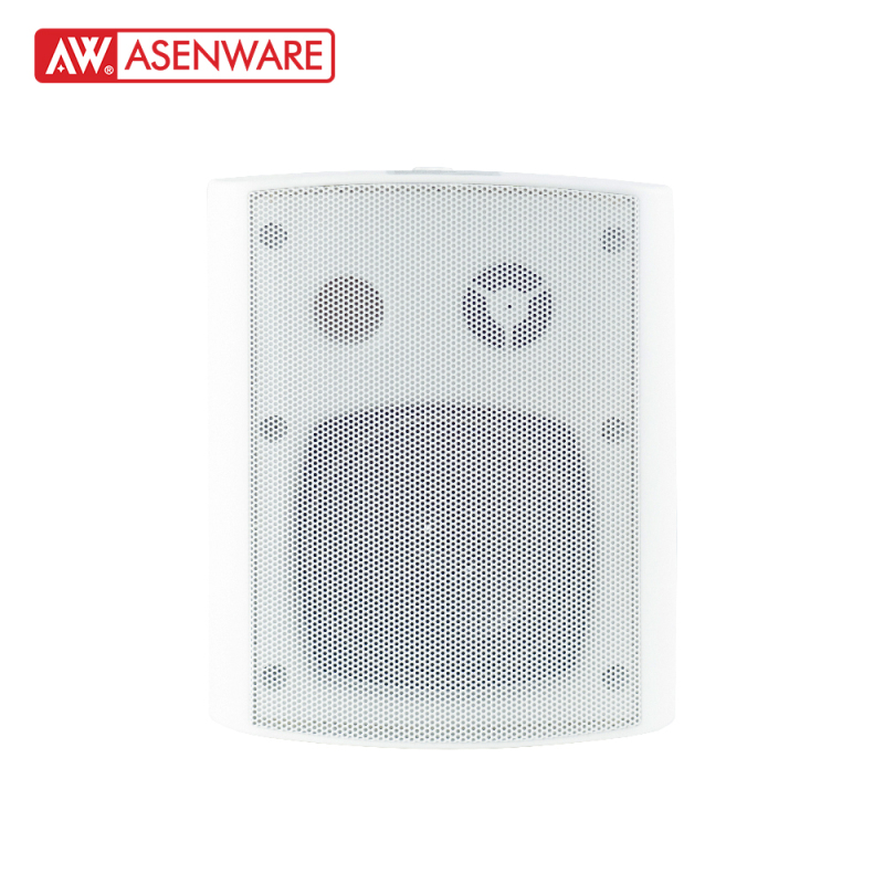 Wall Mounted Speaker AW-SP202