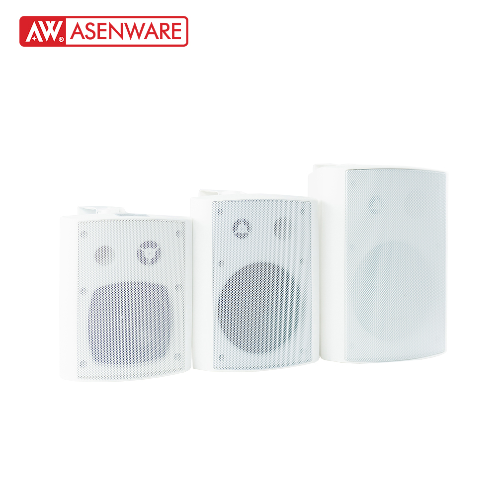 Wall Mounted Speaker AW-SP204