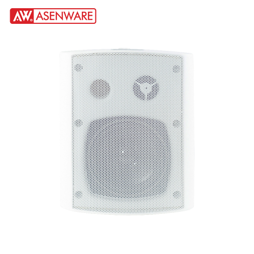 Wall Mounted Speaker AW-SP204