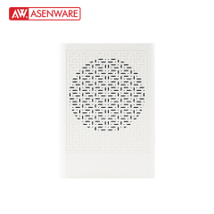 Wall Mounted Speaker AW-SP201