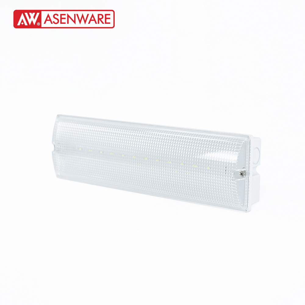 AW-D124 Addressable Emergency Light