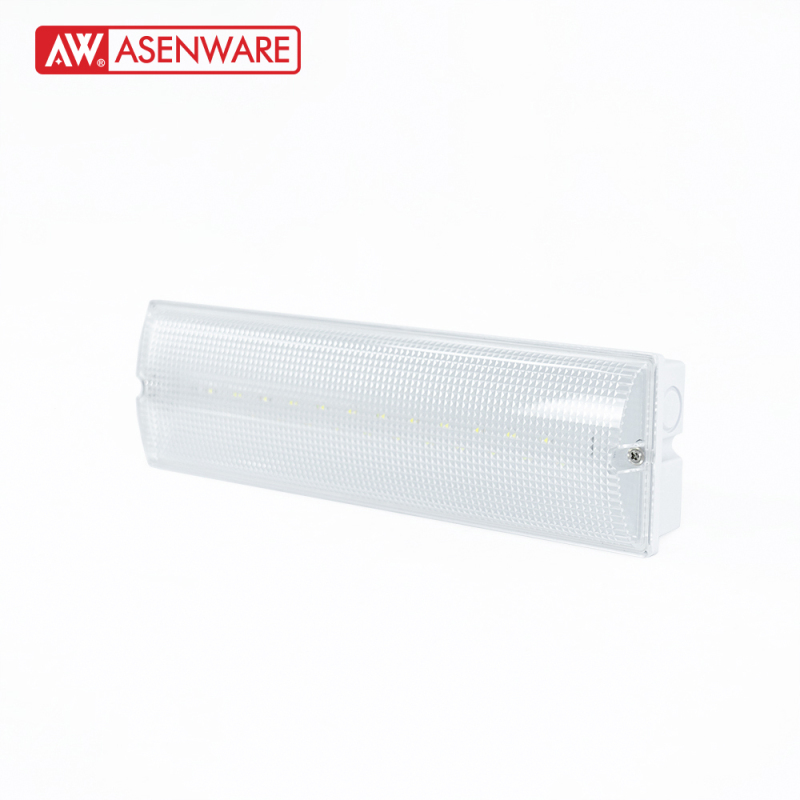 AW-D124 Addressable Emergency Light