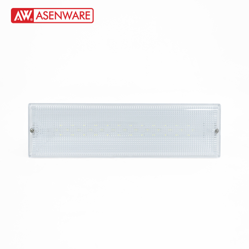 AW-D124 Addressable Emergency Light