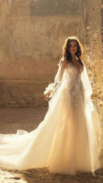 V-neck Spaghtti Strap Bridal Gowns Lace Applique Bridal Dresses A-line Long Train Wedding Dresses C27302