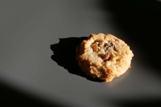 Sea Salt Cookie