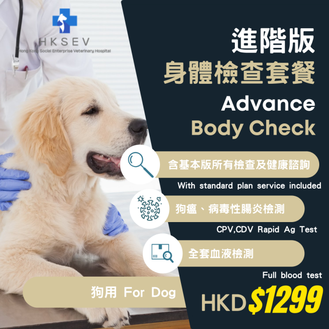 【新家體檢套餐】進階版 - 狗狗專用 Body Check (Advance) For Dog
