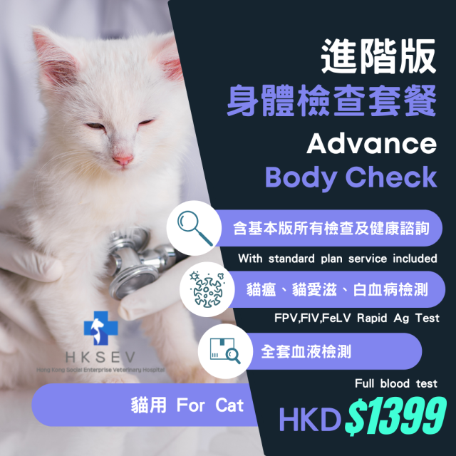 【新家體檢套餐】進階版 - 貓貓專用 Body Check (Advance) For Cat