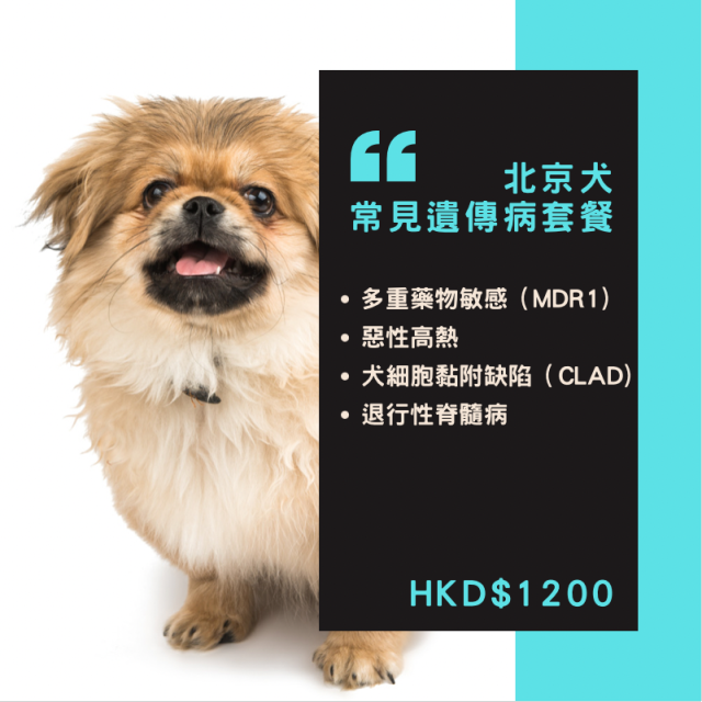 【遺傳病基因檢測套餐】狗狗專用 - 北京犬 Genetics Test For Pekingese (Dog)