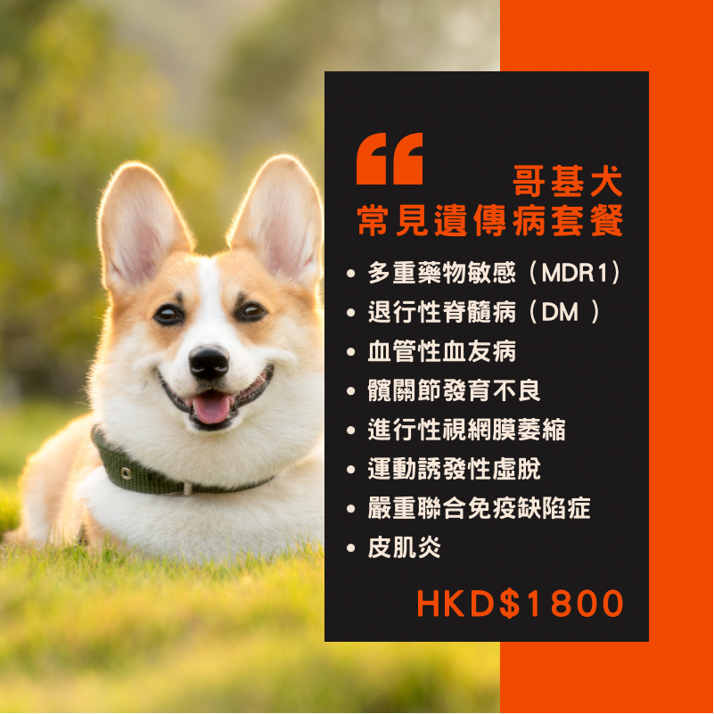 【遺傳病基因檢測套餐】狗狗專用 - 哥基犬  Genetics Test For Corgi（Dog)
