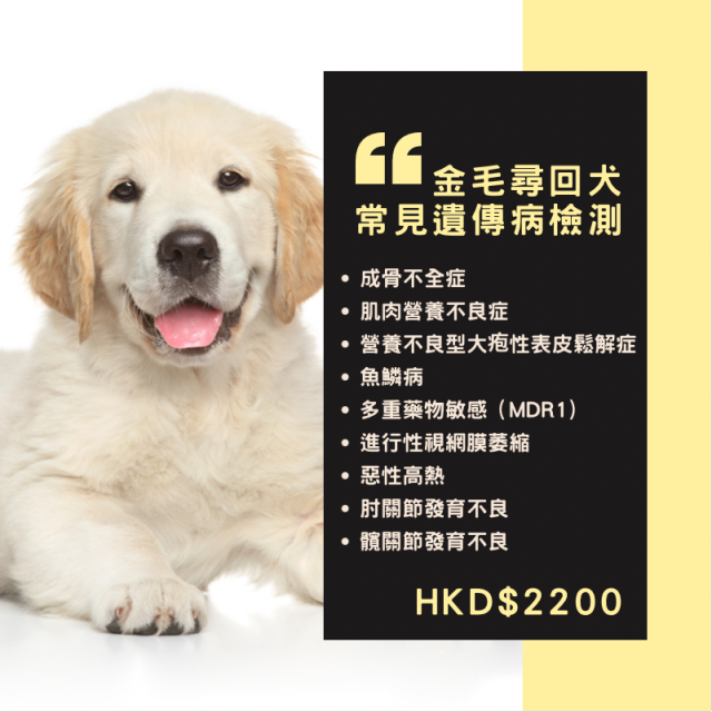 【遺傳病基因檢測套餐】狗狗專用 - 金毛尋回犬   Genetics Test For Golden Retriever (Dog)