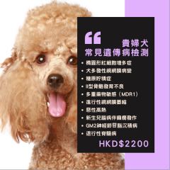 【遺傳病基因檢測套餐】狗狗專用 - 貴婦犬  Genetics Test For Poodle（Dog)