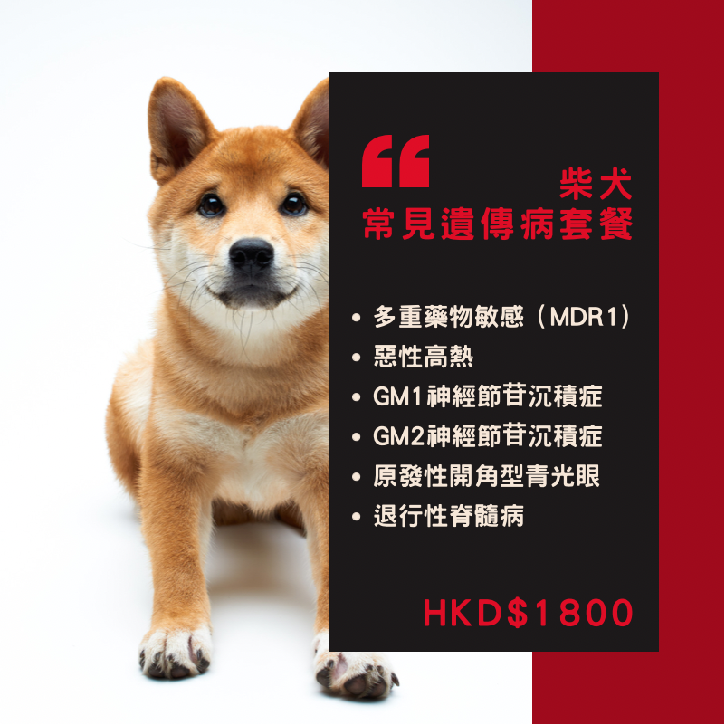 【遺傳病基因檢測套餐】狗狗專用 - 柴犬  Genetics Test For Shiba（Dog)