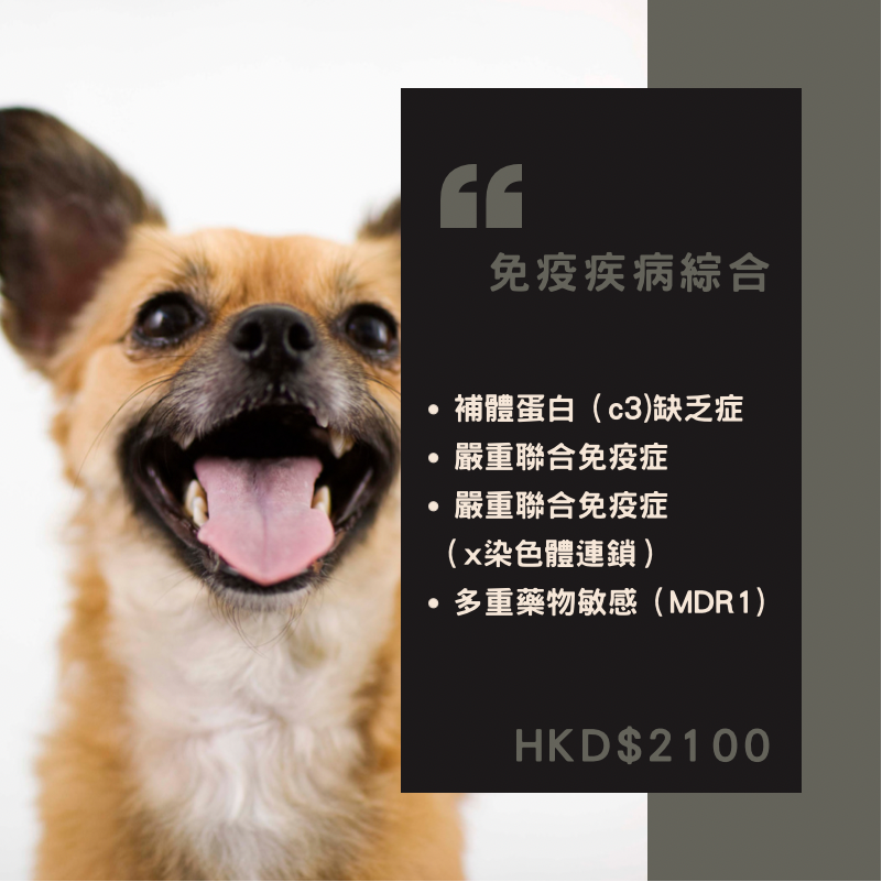 【遺傳病基因檢測套餐】狗狗專用 - 免疫疾病綜合疾病   Genetics Test For Immune System (Dog)