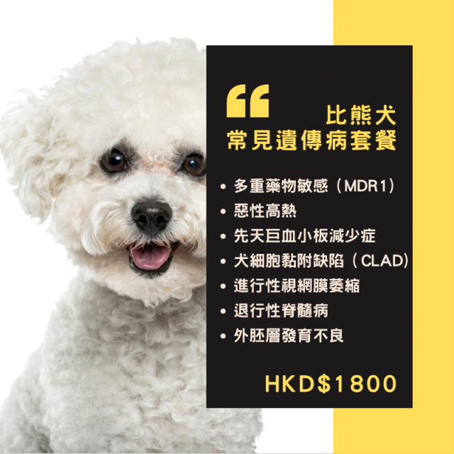 【遺傳病基因檢測套餐】狗狗專用 - 比熊犬  ​​​​​​​Genetics Test For Bichon Frise (Dog)