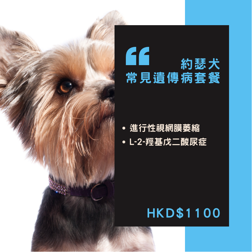 【遺傳病基因檢測套餐】狗狗專用 - 約瑟犬 Genetics Test For Yorkshire Terrier (Dog)