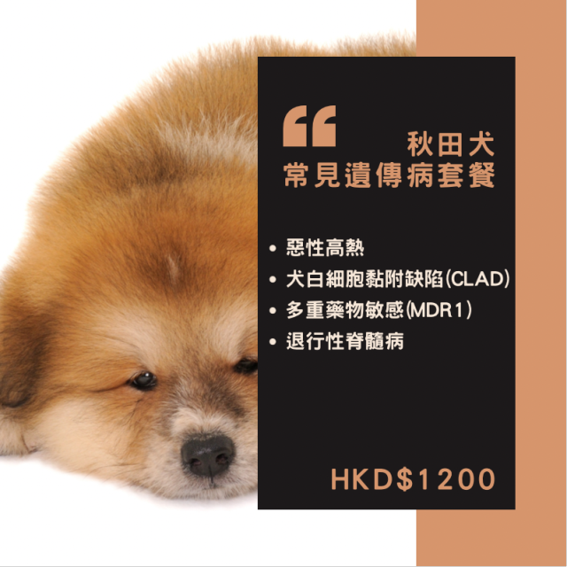 【遺傳病基因檢測套餐】狗狗專用 - 秋田犬 Genetics Test For Akita Inu (Dog)