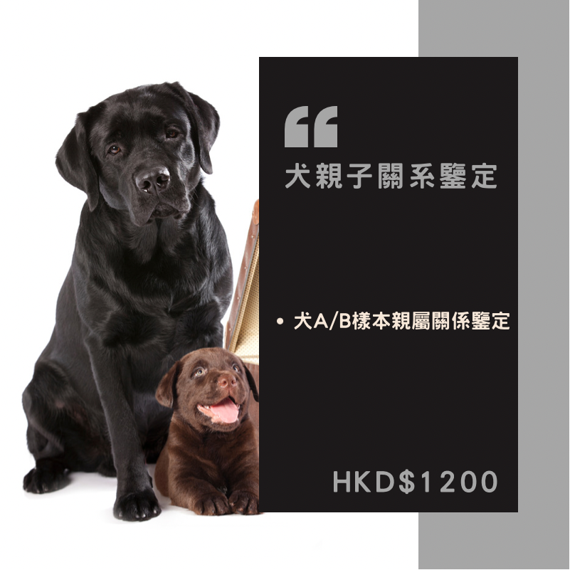 【犬親子關系鑒定套餐】狗狗專用  Parentage Test (Dog) 
