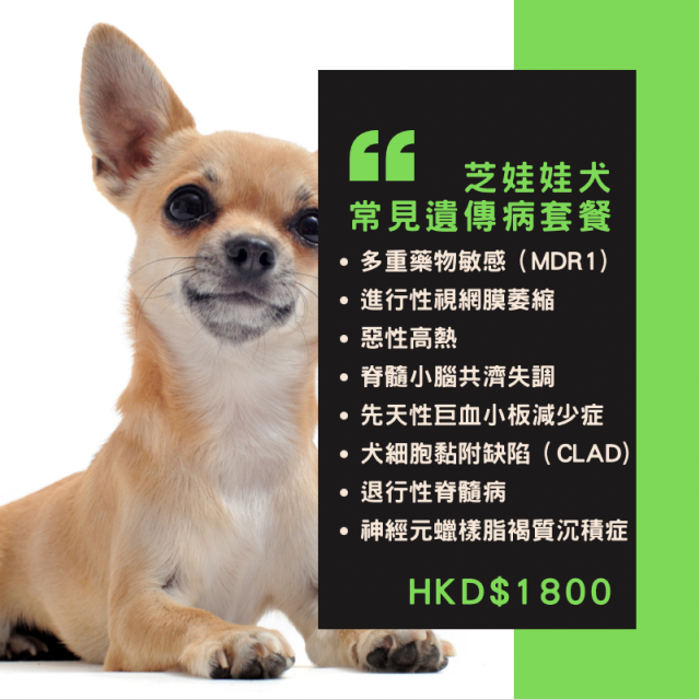 【遺傳病基因檢測套餐】狗狗專用 - 芝娃娃犬  ​​​​​​​Genetics Test For Chihuahua (Dog)