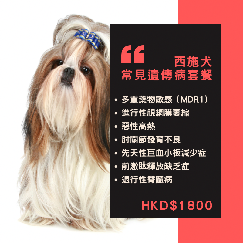 【遺傳病基因檢測套餐】狗狗專用 - 西施犬  ​​​​​​​Genetics Test For Shih Tzu (Dog)
