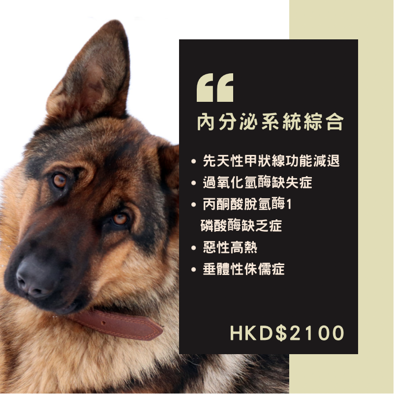 【遺傳病基因檢測套餐】狗狗專用 - 内分泌系統綜合疾病  Genetics Test For Endocrine System (Dog)