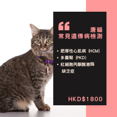 【遺傳病基因檢測套餐】貓貓專用 - 唐貓 Genetics Test For Domestic cat (Cat)