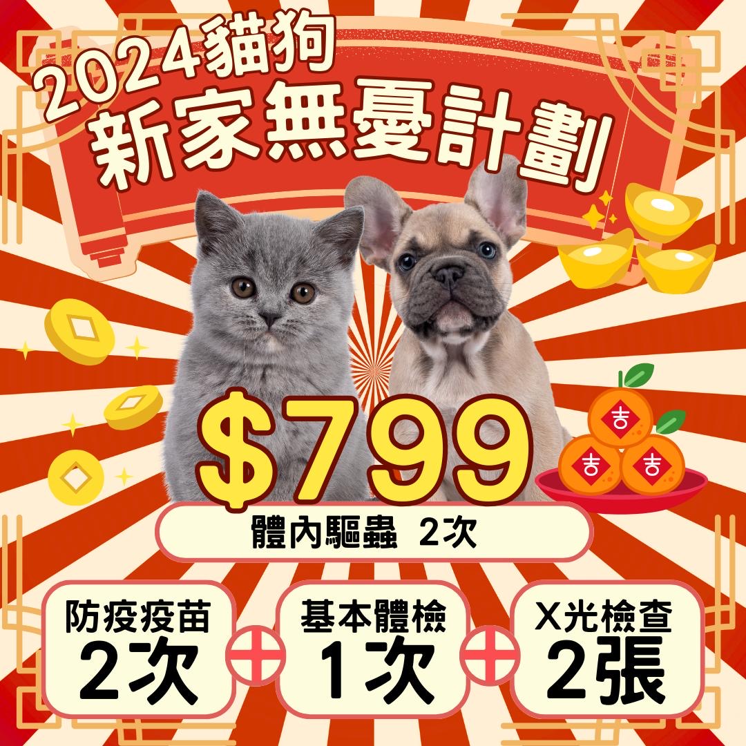 新家無憂無慮計劃 (網上優惠) $799