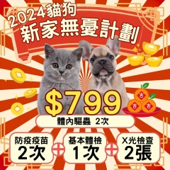新家無憂無慮計劃 (網上優惠) $799