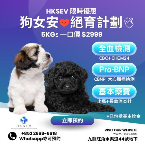 狗女安心絕育套餐