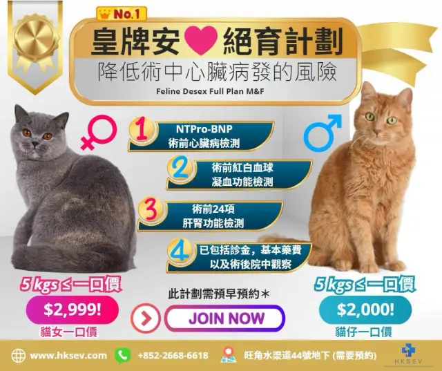 2024皇牌安心貓仔貓女絕育計劃