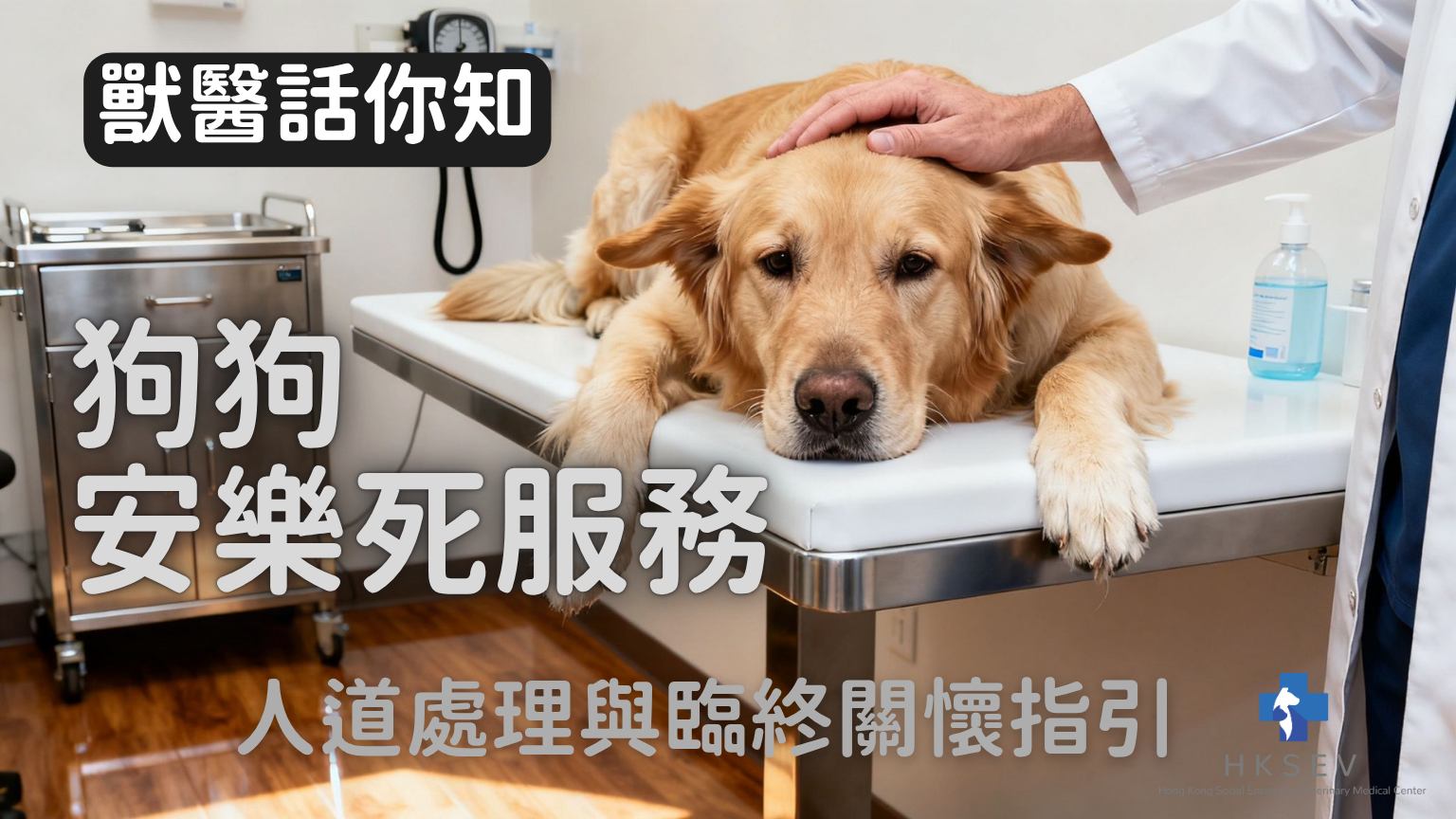 24 小時 寵物 診所 旺角 (97) 사진