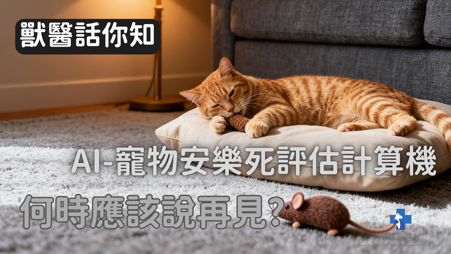 AI 寵物安樂死生活質素評估工具 - HKSEV 香港社企獸醫