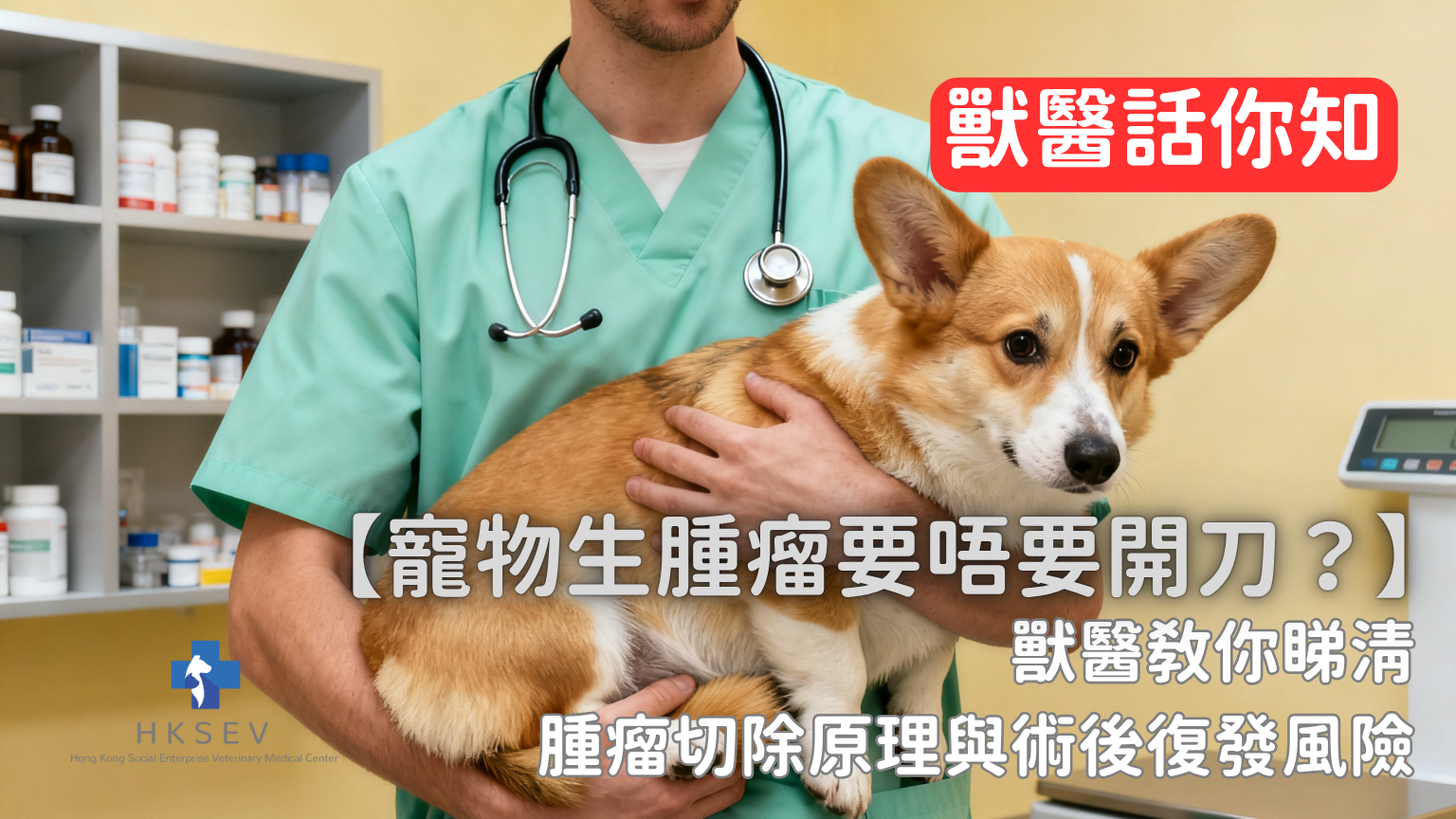 寵物腫瘤手術封面