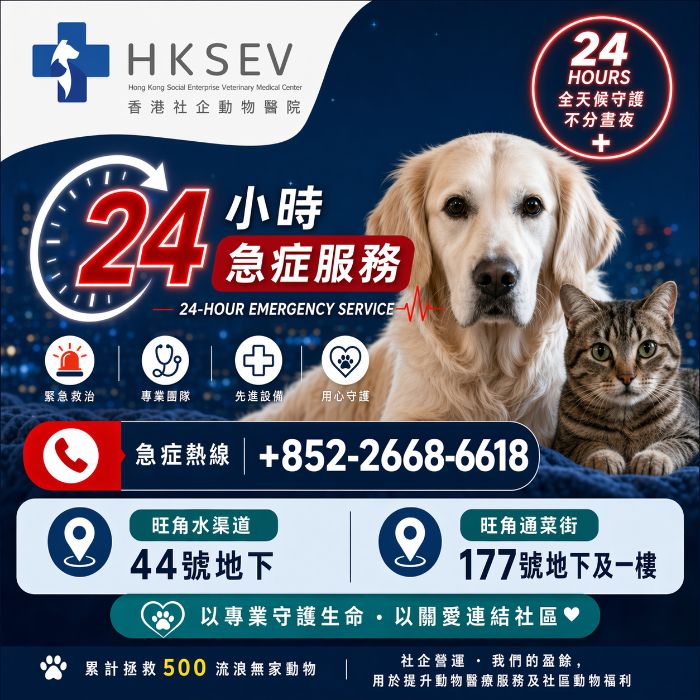 HKSEV 香港社企動物醫院 24 小時急症服務 &middot; 急症熱線 2668-6618 &middot; 旺角水渠道 44 號地下 &middot; 旺角通菜街 177 號地下及一樓