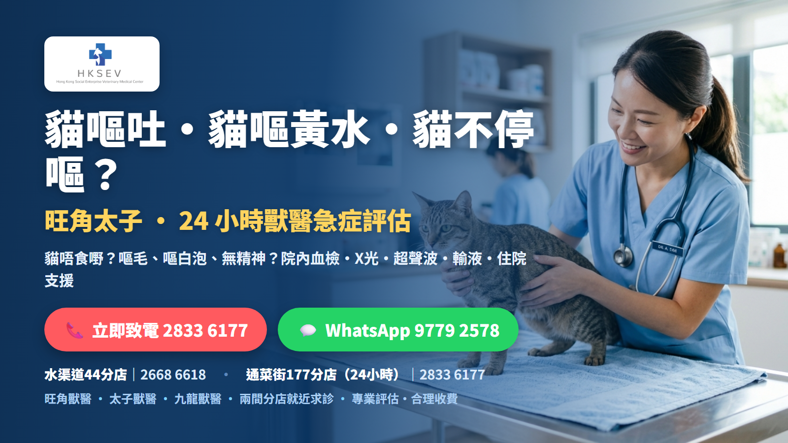 HKSEV 香港社企獸醫 &mdash; 貓嘔吐 / 貓嘔黃水 / 貓不停嘔 旺角太子 24小時獸醫急症評估，致電 2833 6177