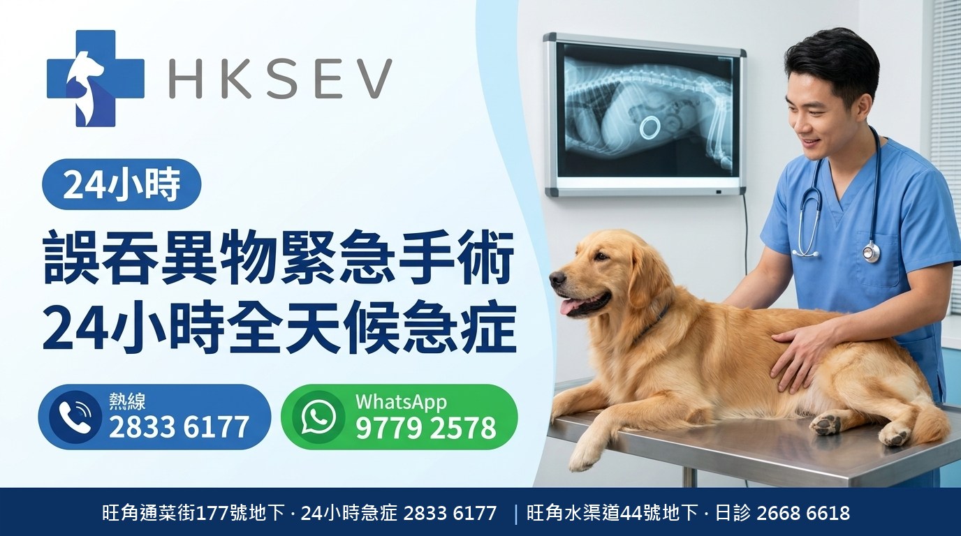 HKSEV 旺角24小時誤食異物急救 X光內窺鏡取異物 通菜街177號地下 熱線2833 6177