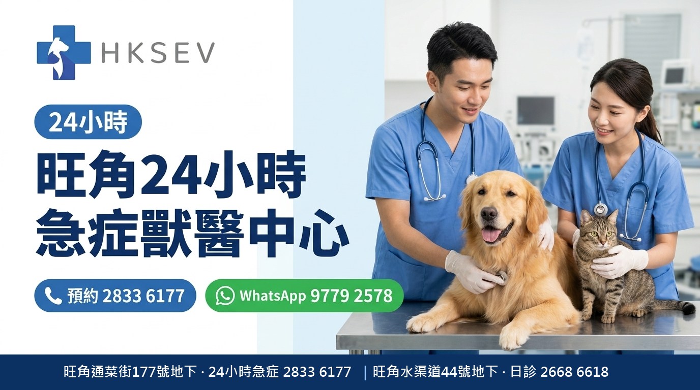 HKSEV 旺角24小時急症獸醫中心，通菜街177分店電話2833 6177，WhatsApp 9779 2578