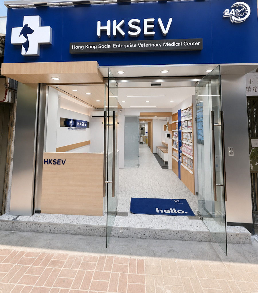 HKSEV177通菜街分店真實店面：藍色招牌、玻璃門及木色接待處