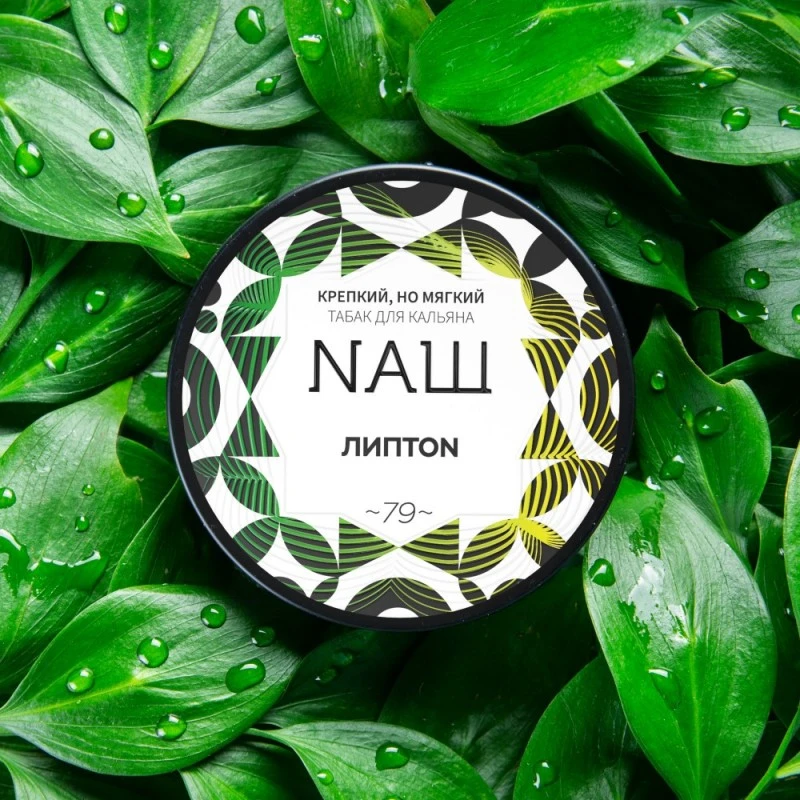 NAШ NASH Hookah Shisha Tobacco 100G