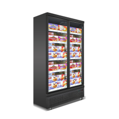 Double Door Bottom Mounted Freezing Showcase-Black