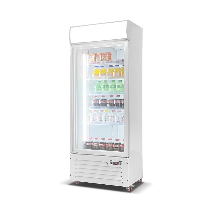 Commercial Beverage Coolers: Beer Coolers & Bar Refrigerators