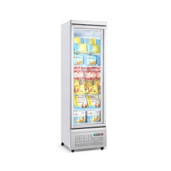 Upright Showcase Glass Door Freezer with Wheels Commercial Showcase Refrigeration Frozen Food Fridge