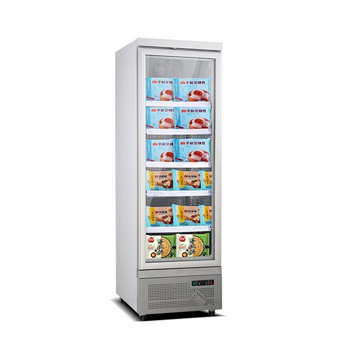 Upright Showcase Glass Door Freezer with Wheels Commercial Showcase Refrigeration Frozen Food Fridge